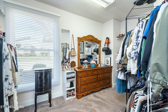 walk in closet with light carpet