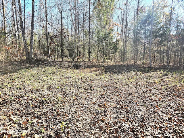 TBD Walker Rd, Sharps Chapel, TN 37866