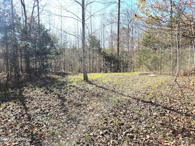 TBD Walker Rd, Sharps Chapel, TN 37866