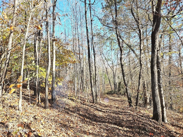 TBD Walker Rd, Sharps Chapel, TN 37866