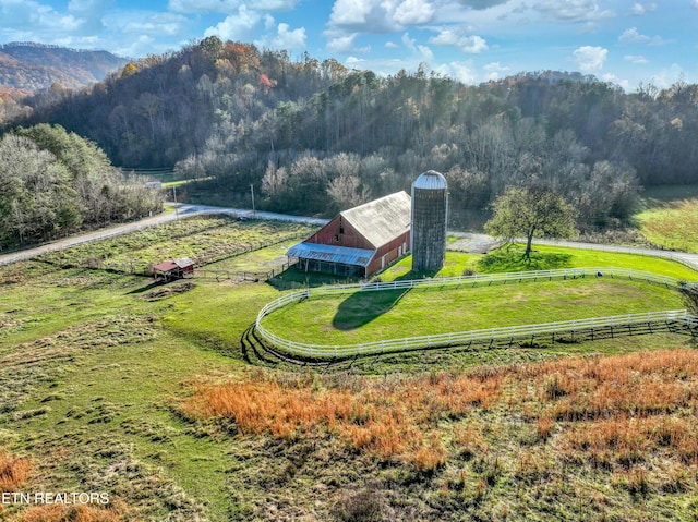 view of home's community featuring a lawn, a mountain view, and a rural view