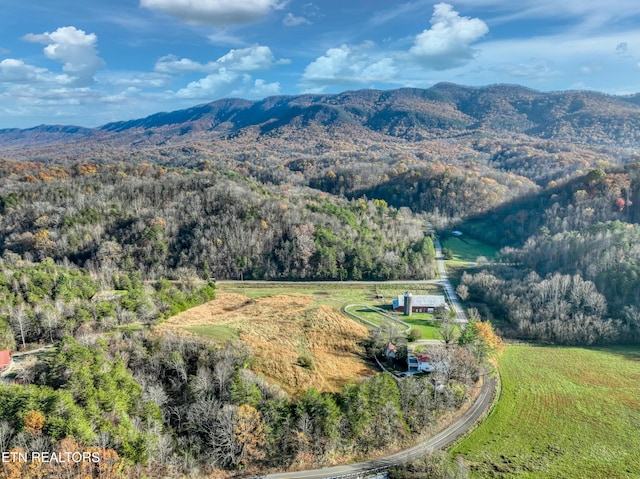 birds eye view of property featuring a mountain view