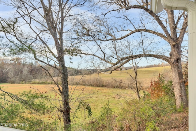 view of local wilderness with a rural view