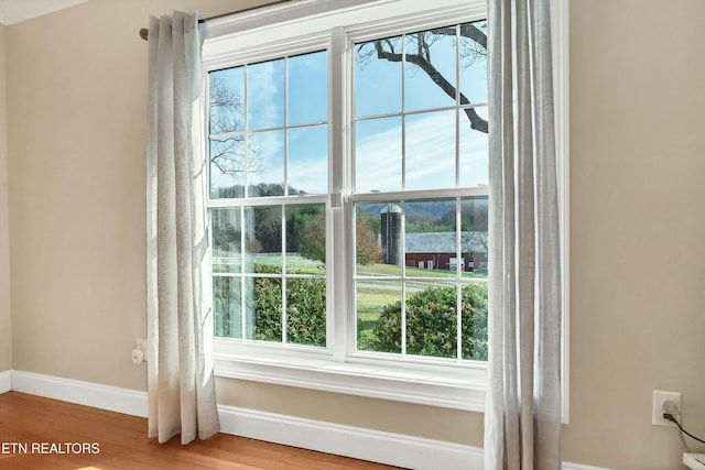 room details with hardwood / wood-style flooring