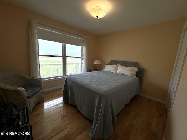 bedroom featuring light hardwood / wood-style floors and a closet