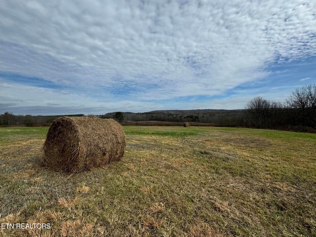 view of yard with a rural view