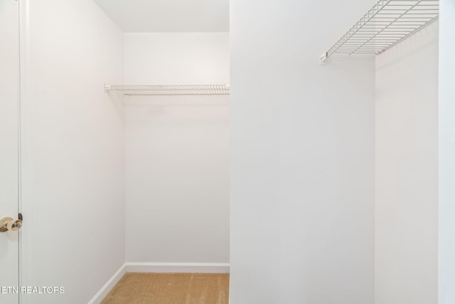 spacious closet with light carpet