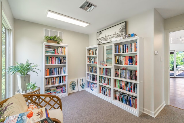 living area featuring carpet flooring and a wealth of natural light