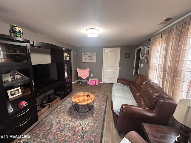 living room with wood-type flooring