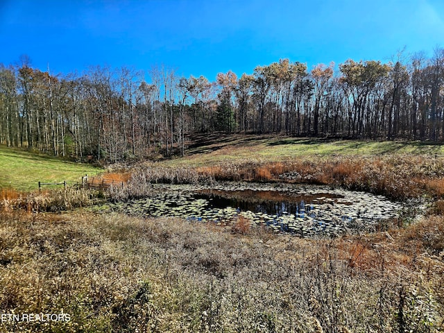 view of nature