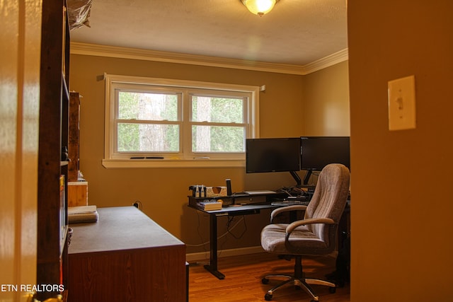 office area featuring crown molding and light hardwood / wood-style flooring