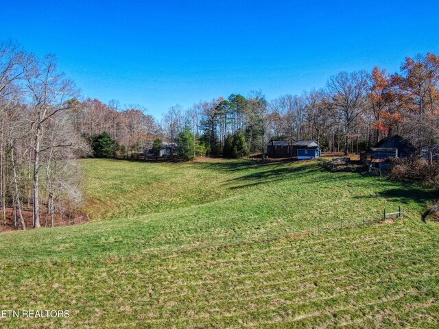 view of yard with an outbuilding