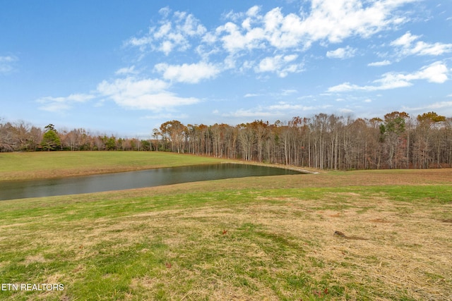 property view of water