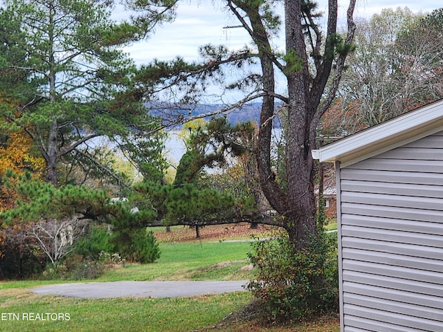 140 N Hillcrest Dr, Spring City, TN 37381 - view of yard