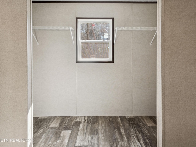 spacious closet with dark wood-type flooring