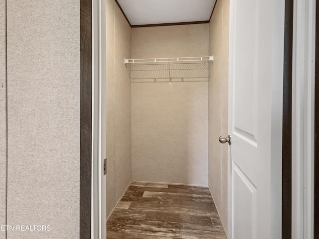 walk in closet with dark hardwood / wood-style flooring