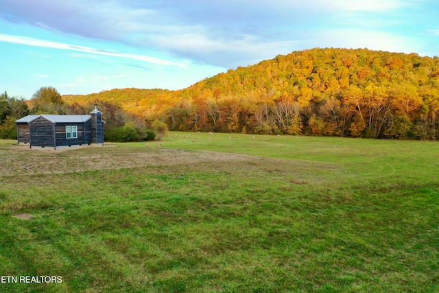 view of mountain feature