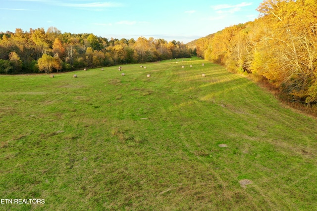 view of yard featuring a rural view