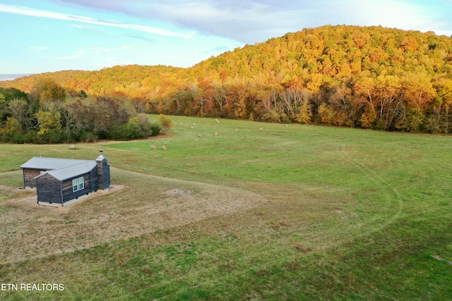 view of mountain feature