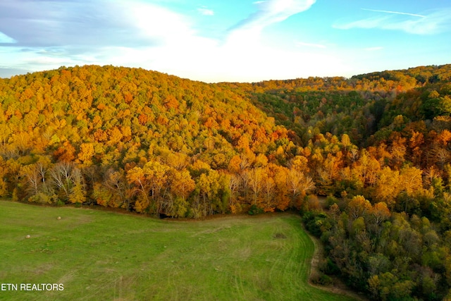 property view of mountains