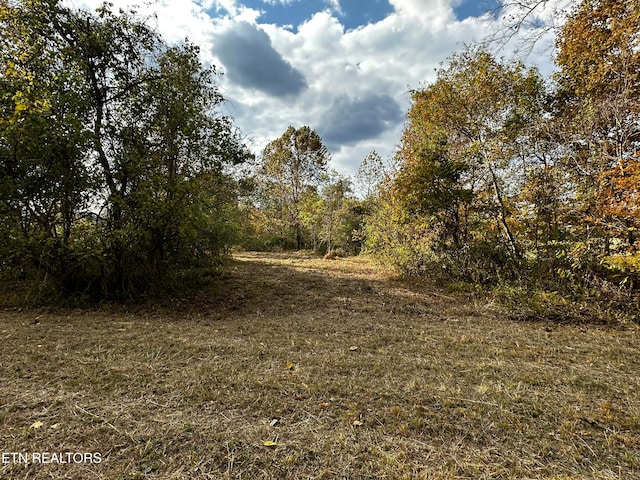 view of nature