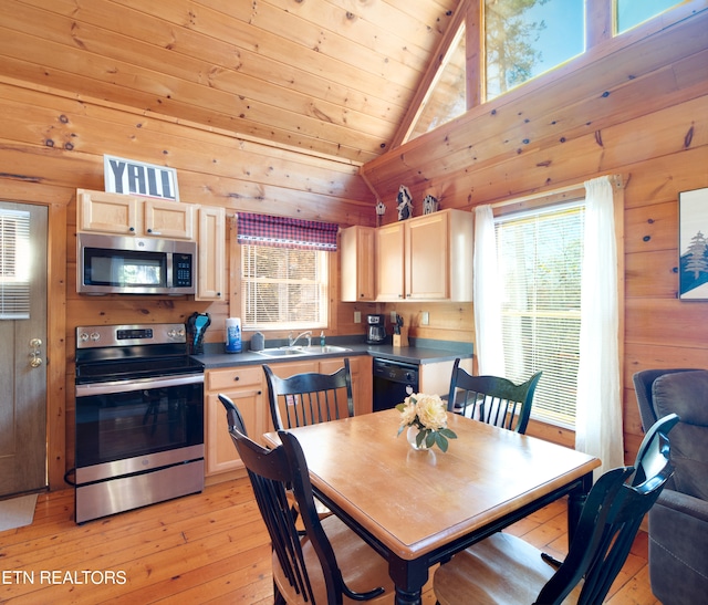 kitchen with light brown cabinets, a healthy amount of sunlight, light wood-type flooring, and appliances with stainless steel finishes