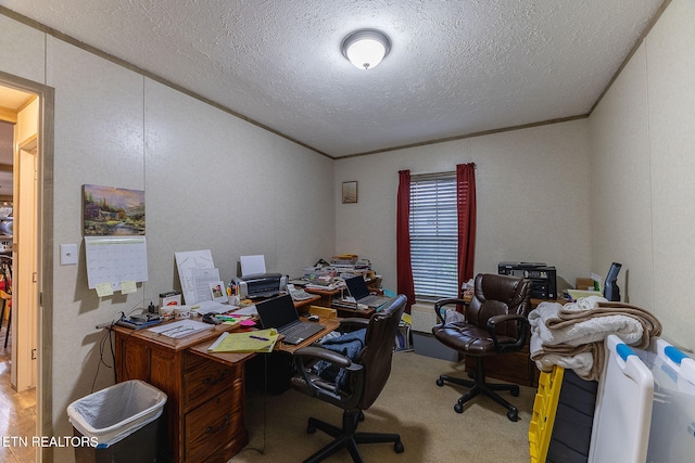 carpeted office space featuring ornamental molding and a textured ceiling