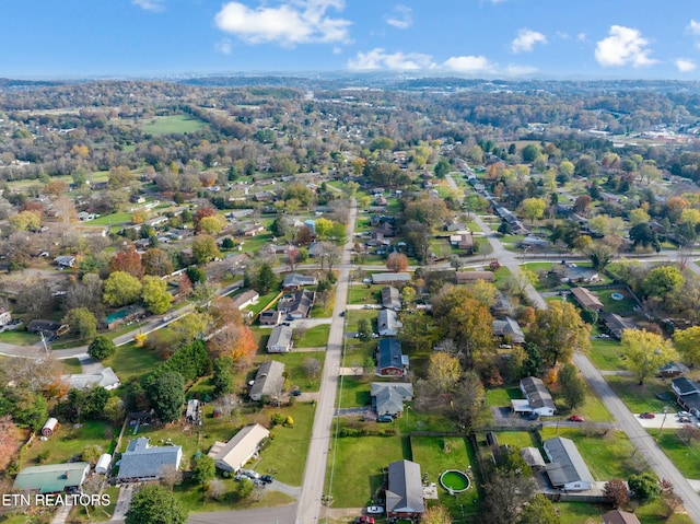 bird's eye view