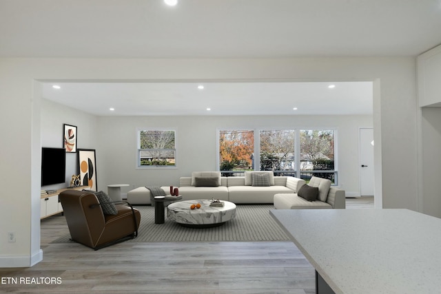 living room with light hardwood / wood-style floors