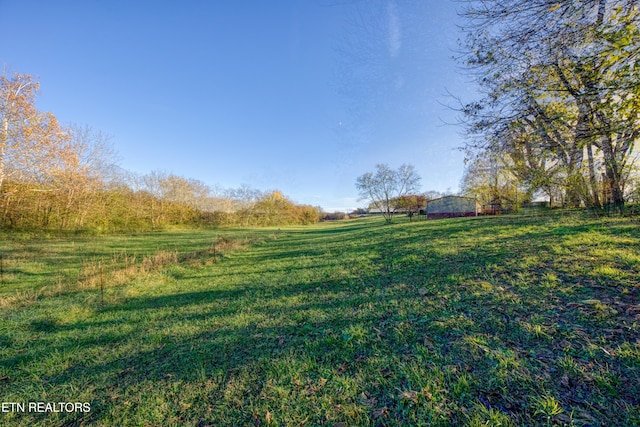 view of yard featuring a rural view