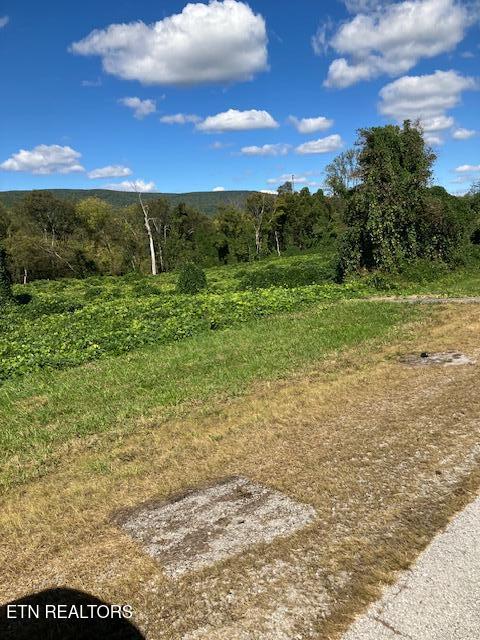 Listing photo 2 for 0 Rhea County Hwy, Spring City TN 37381