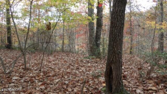 Listing photo 2 for LOT349 Drew Ct, Smithville TN 37166