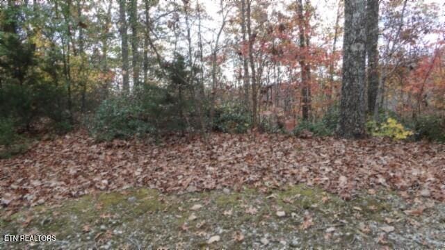 Listing photo 3 for LOT349 Drew Ct, Smithville TN 37166