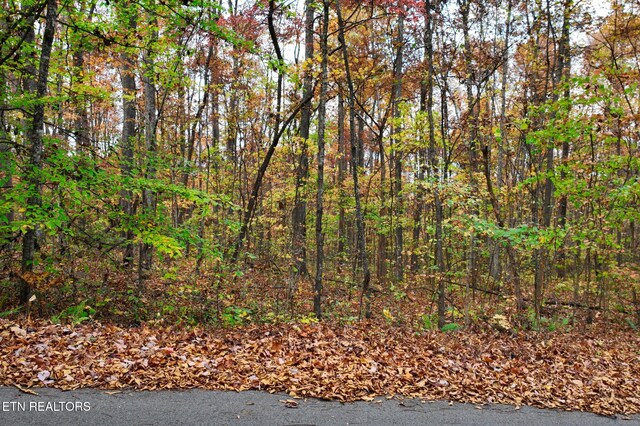 LOT7 Walker Rd, Sharps Chapel, TN 37866