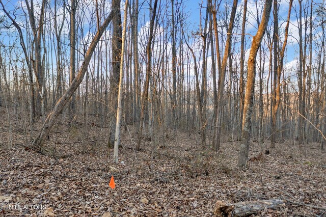 LOT7 Walker Rd, Sharps Chapel, TN 37866