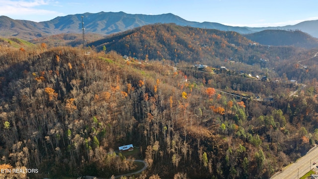 view of mountain feature