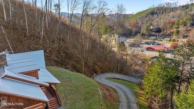 view of yard with a mountain view