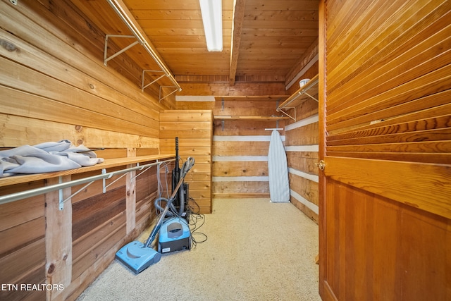 walk in closet with carpet floors