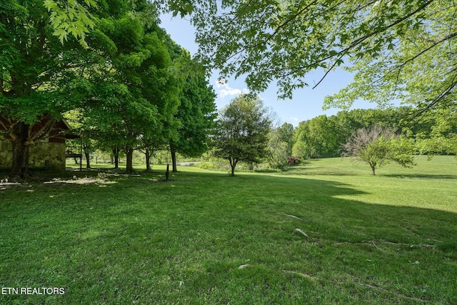 view of yard