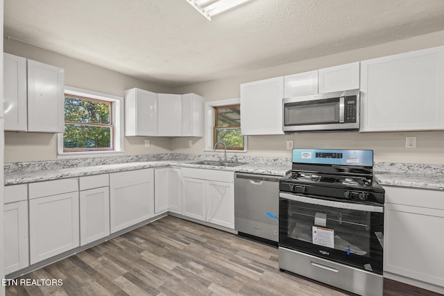 kitchen with appliances with stainless steel finishes, white cabinetry, a wealth of natural light, and sink