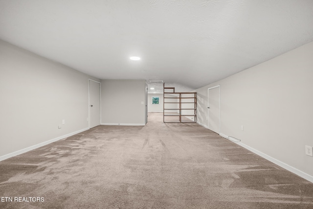 basement featuring carpet