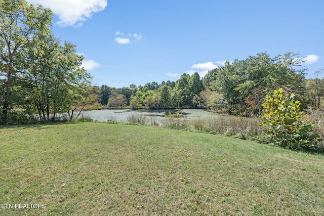 view of yard with a water view