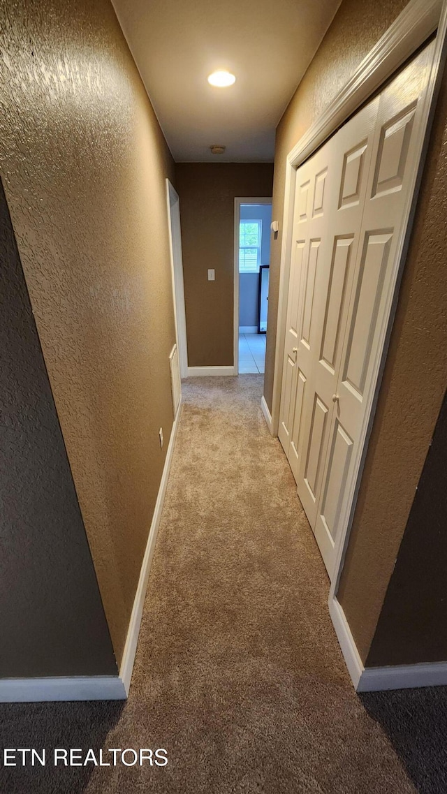 630 Chris Haven Dr, Seymour, TN 37865 - corridor with a textured wall, carpet floors, and baseboards