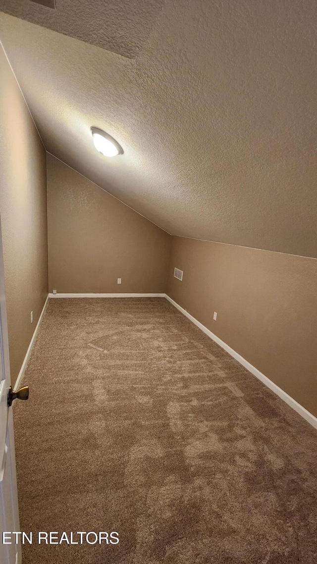 630 Chris Haven Dr, Seymour, TN 37865 - additional living space featuring a textured ceiling, vaulted ceiling, carpet floors, and baseboards