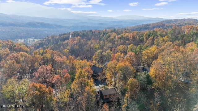 aerial view with a mountain view