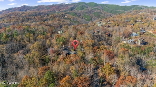 birds eye view of property with a mountain view