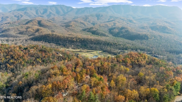 view of mountain feature