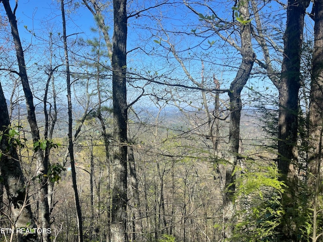 Lot5 Overholt Tr, Sevierville TN, 37862 land for sale