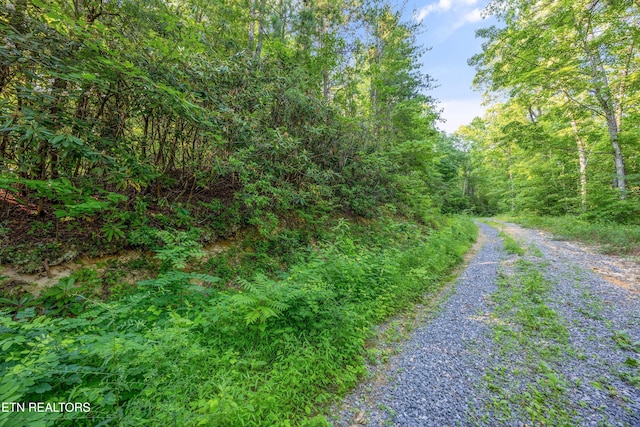 LOT5 Overholt Trl, Sevierville, TN 37862 - photo 3