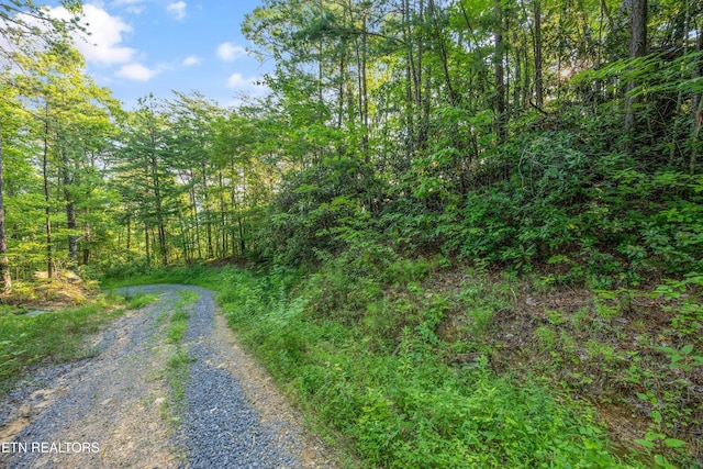 LOT5 Overholt Trl, Sevierville, TN 37862 - photo 4